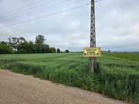 Działka rolna / Grunty rolne / Ziemia rolna