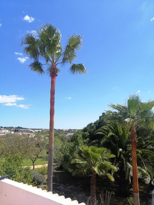 Quarto Albufeira / Guia com despesas incluídas