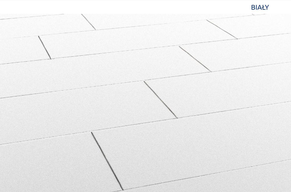Kostka brukowa Magnum 100x40 steely 8cm RAK-BUD
