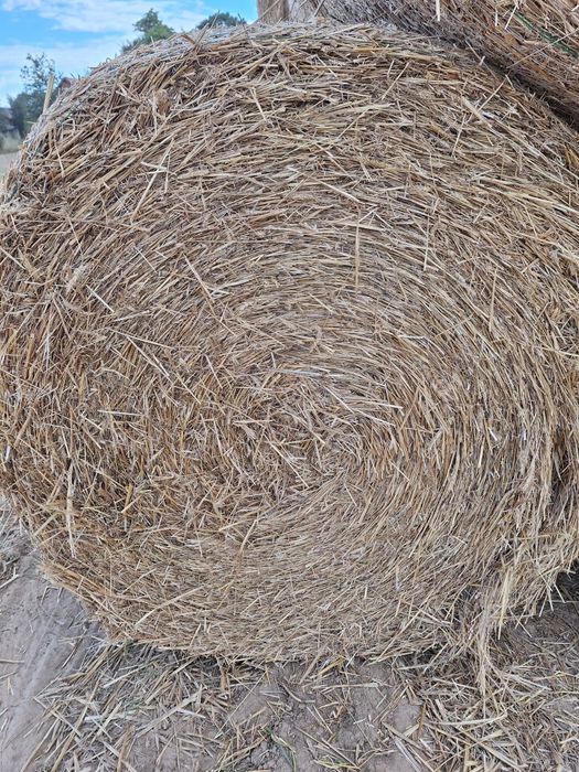 Sprzedam słome z 2025 roku