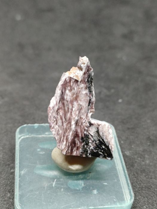 Ciekawy czaroit tinaksytem z Rosji.