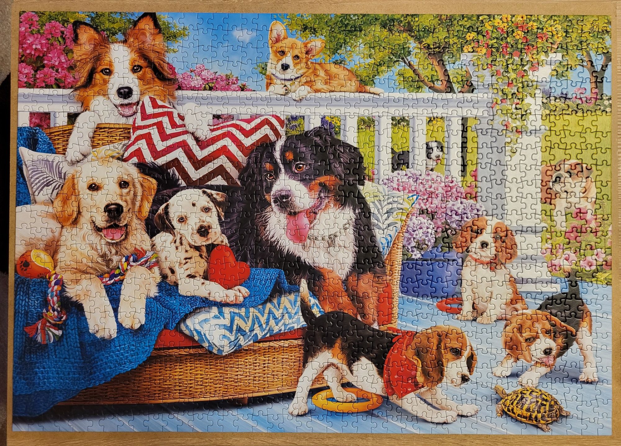 Puzzle Trefl Prime 1000 - Doggy Friendship / Pieski