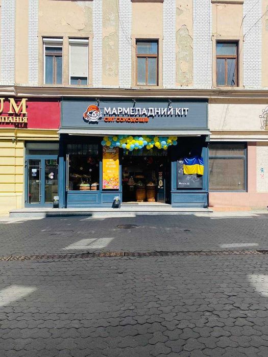 Затишна кухня-студія + спальня на Корзо в Центрі.  Подобово!