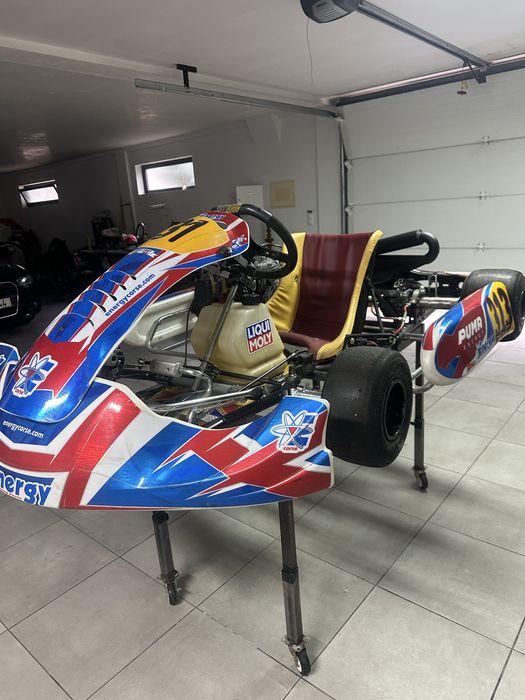 Kart rotax max 125 como novo