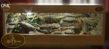 TERRARIUM PUSTYNNE 100x50x50 Nowe AlleTerra