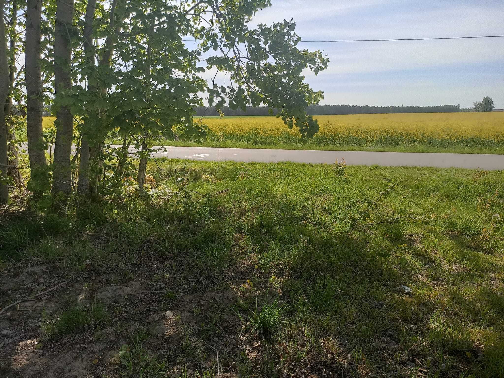 Działka 7000m2 Budowlana przemysłowa SIEDLISKO Łagów gm, przyłęk rola