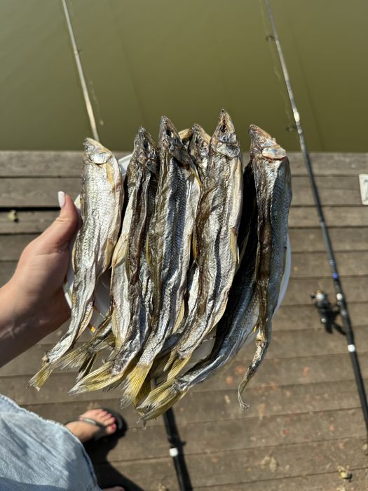 Корюшка вяленая/сушеная без икры