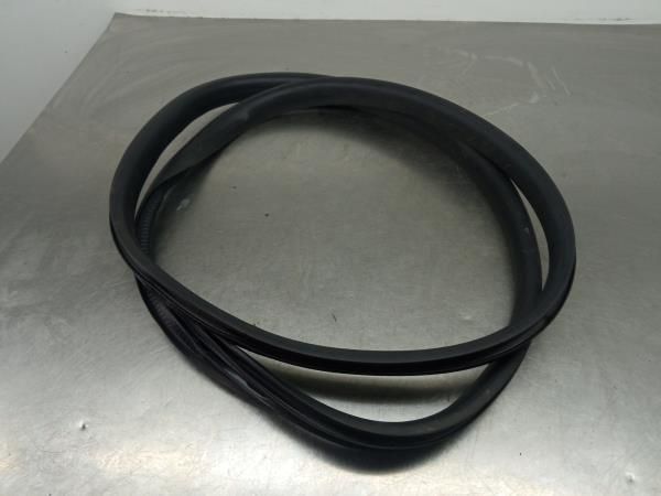 Revestimento porta trás esquerdo RENAULT Megane IV (B9A/M_)