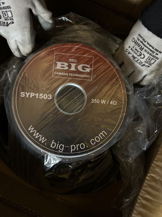 Динамік BIG SYP1503 4OM