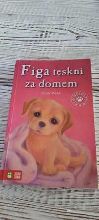 Książka Figa tęskni za domem