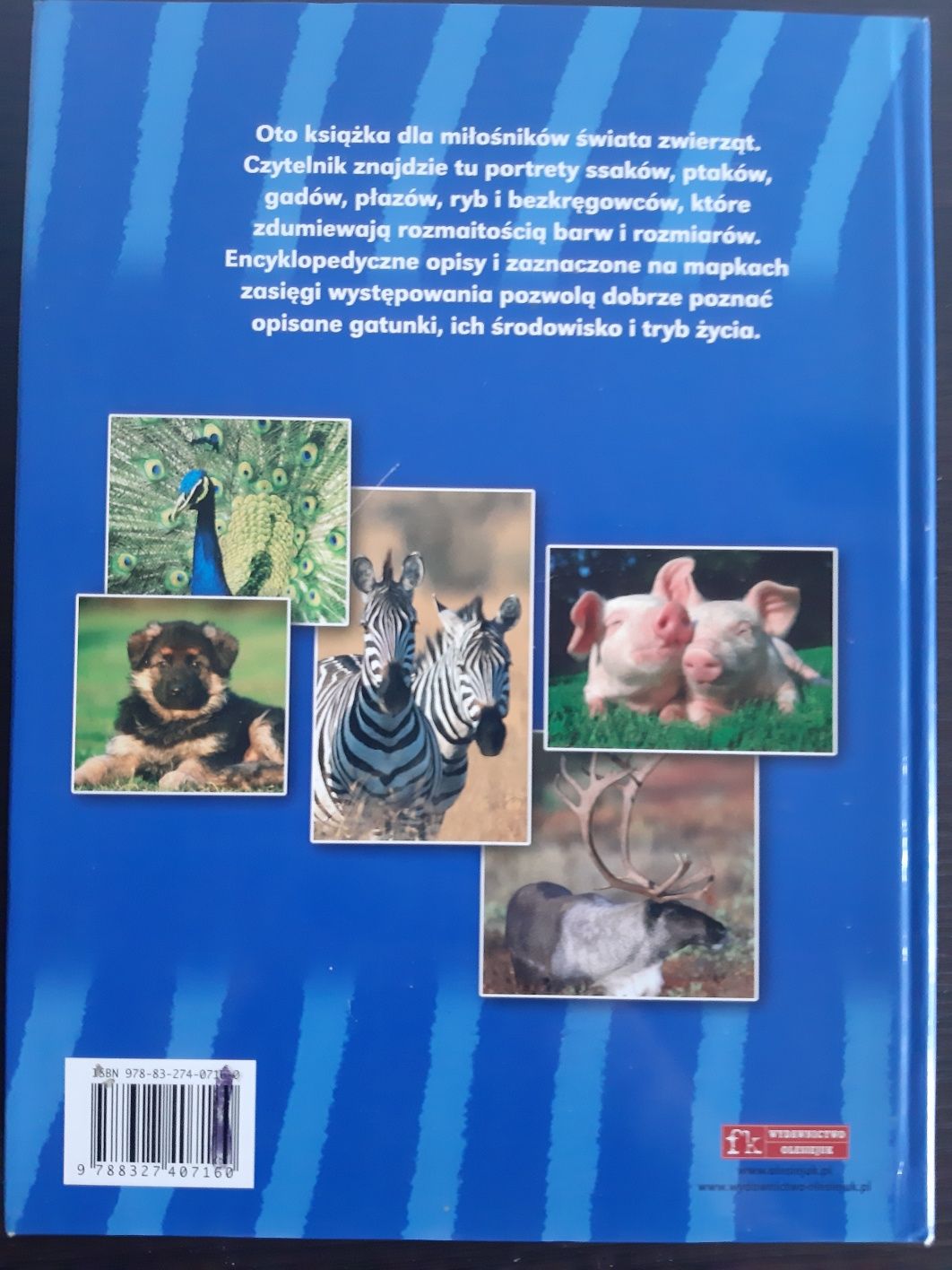 Atlas zwierząt - encyklopedia dla dzieci