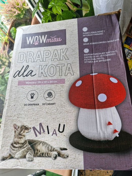 Drapak dla kota muchomorek