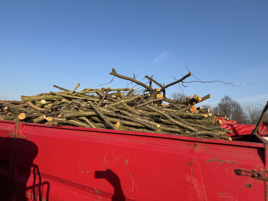 Drewno opałowe - iglaste i lisciaste - POCIĘTE lub metry