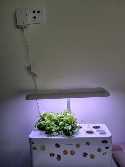 Cultivo hidroponico Prozis