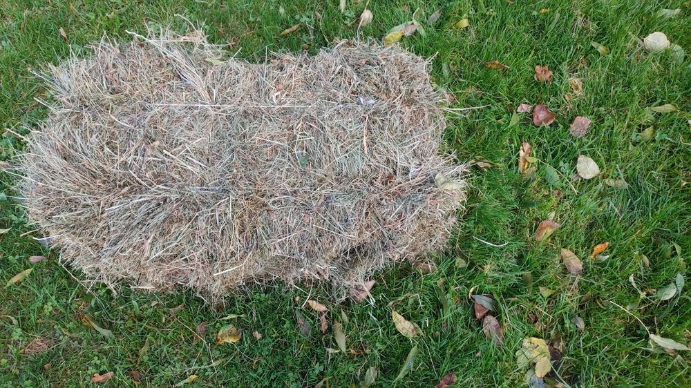 Siano Słoma w kostkach