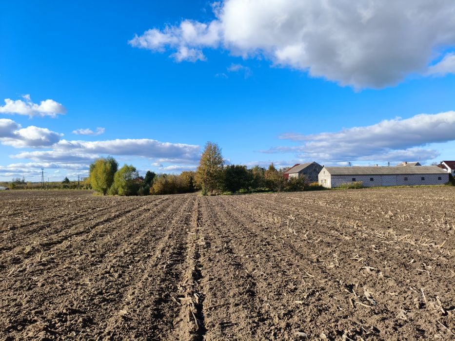 Gospodarstwo rolne 11 ha