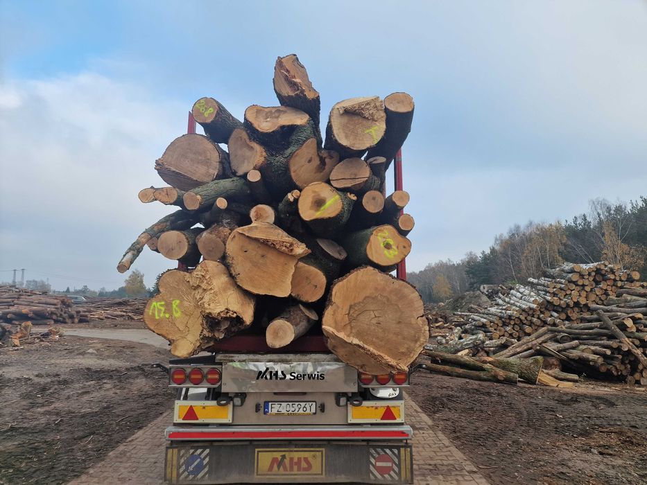 DrewKom Drewno kominkowe Jesion kłoda dl. 2,5m S4 S2a transport HDS