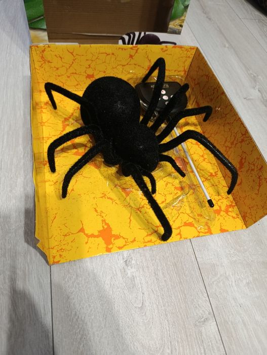 Pająk tarantula zdalnie sterowany