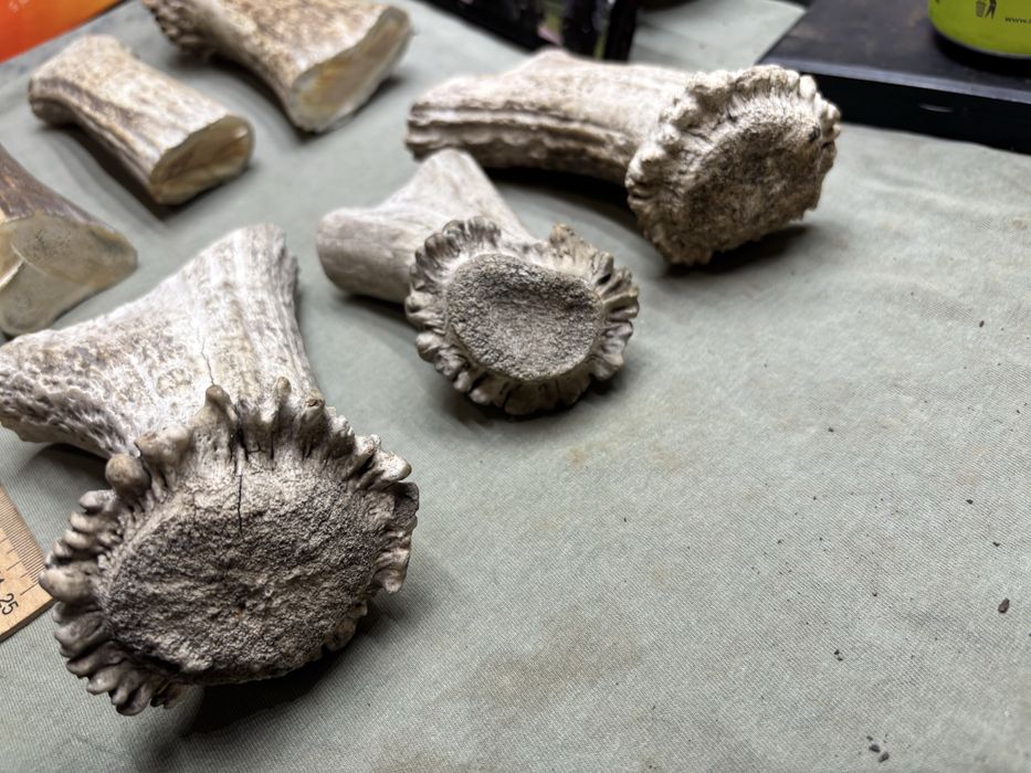 Масивні заготовки рог