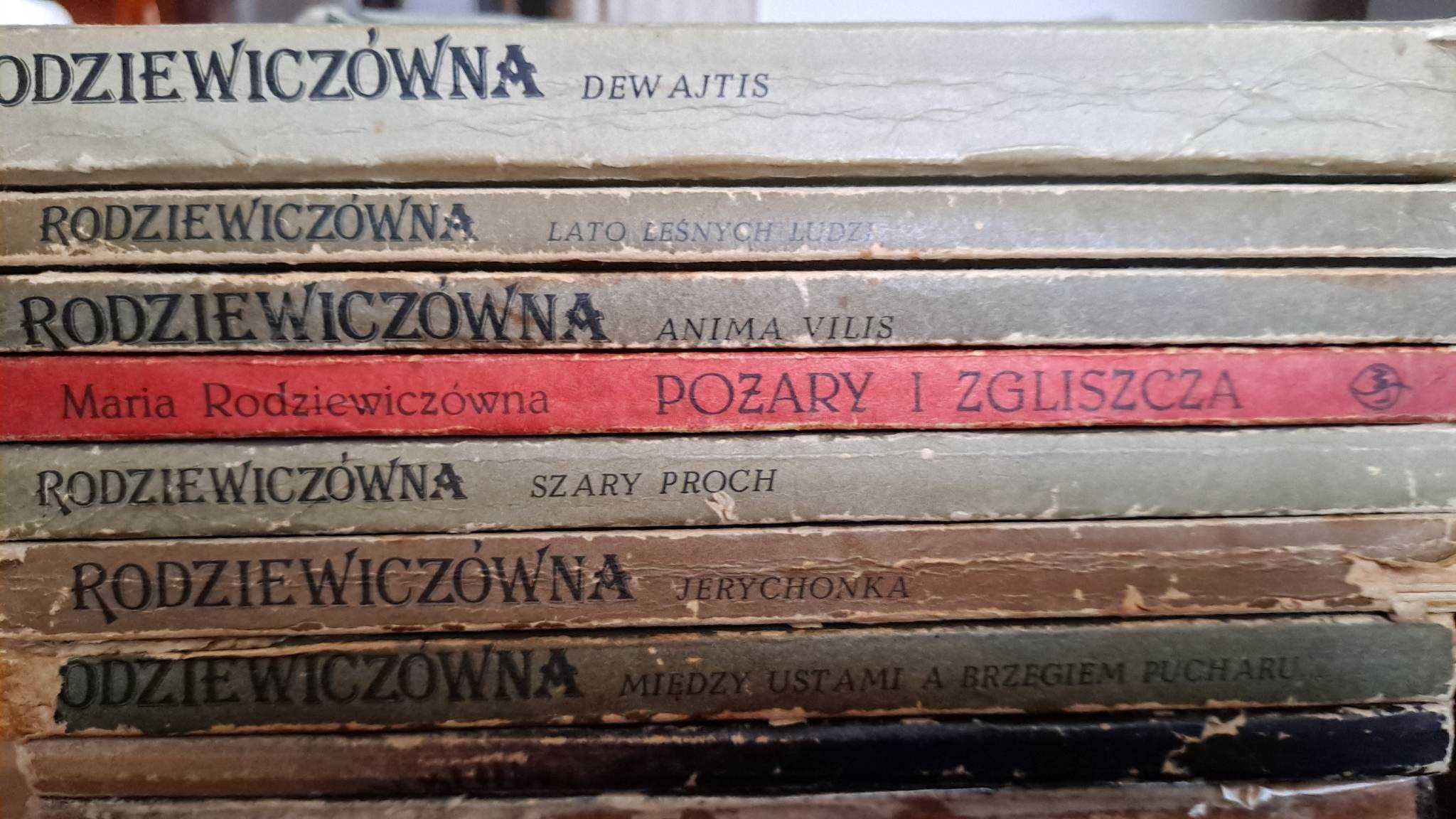 Literatura M. Rodziewiczówny