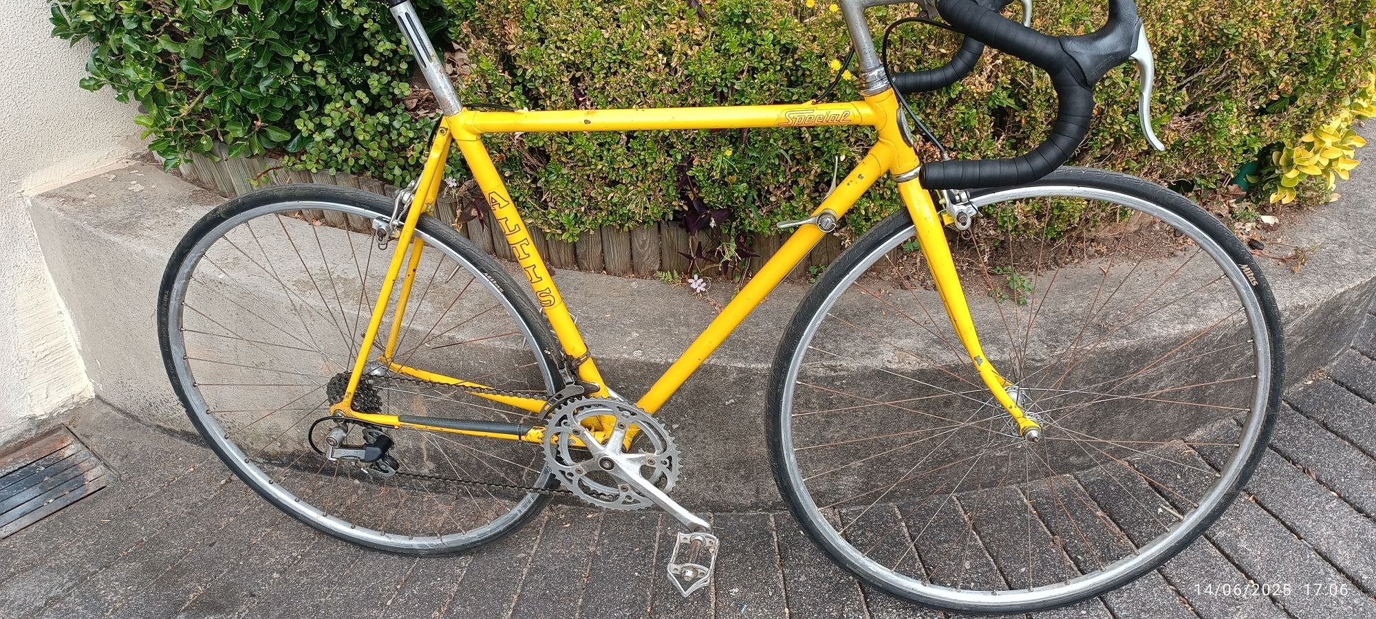 Bicicleta antiga Altis