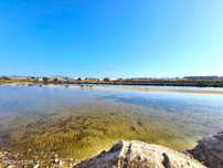 Terreno Ria Formosa - 121.600 M2