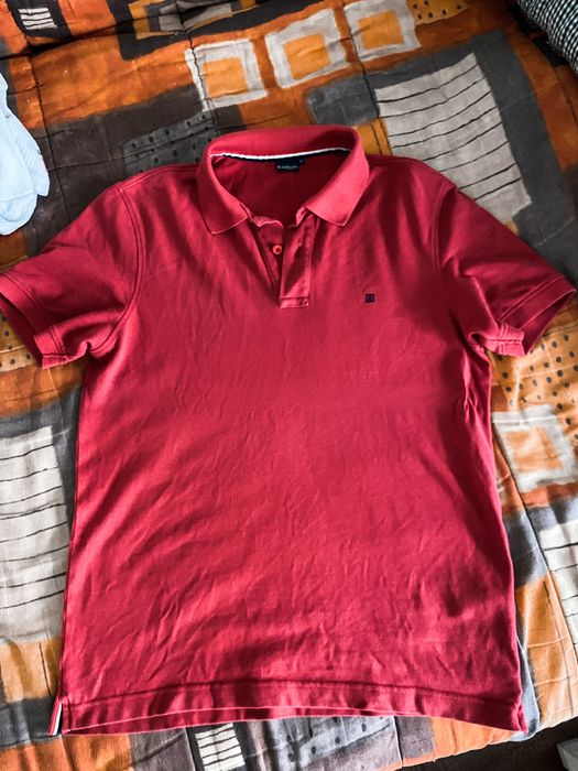 Polo Lion of Porches