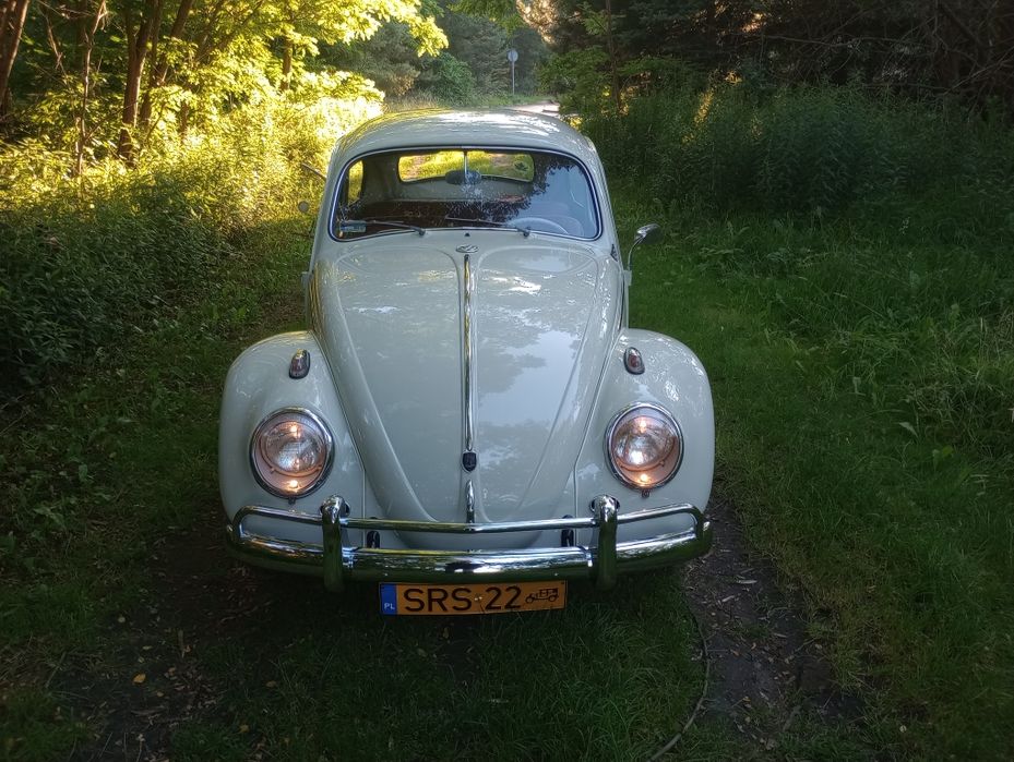 VW Garbus na wynajem. Ślub, studniówka,  sesja