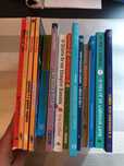 Livros juvenis diversos