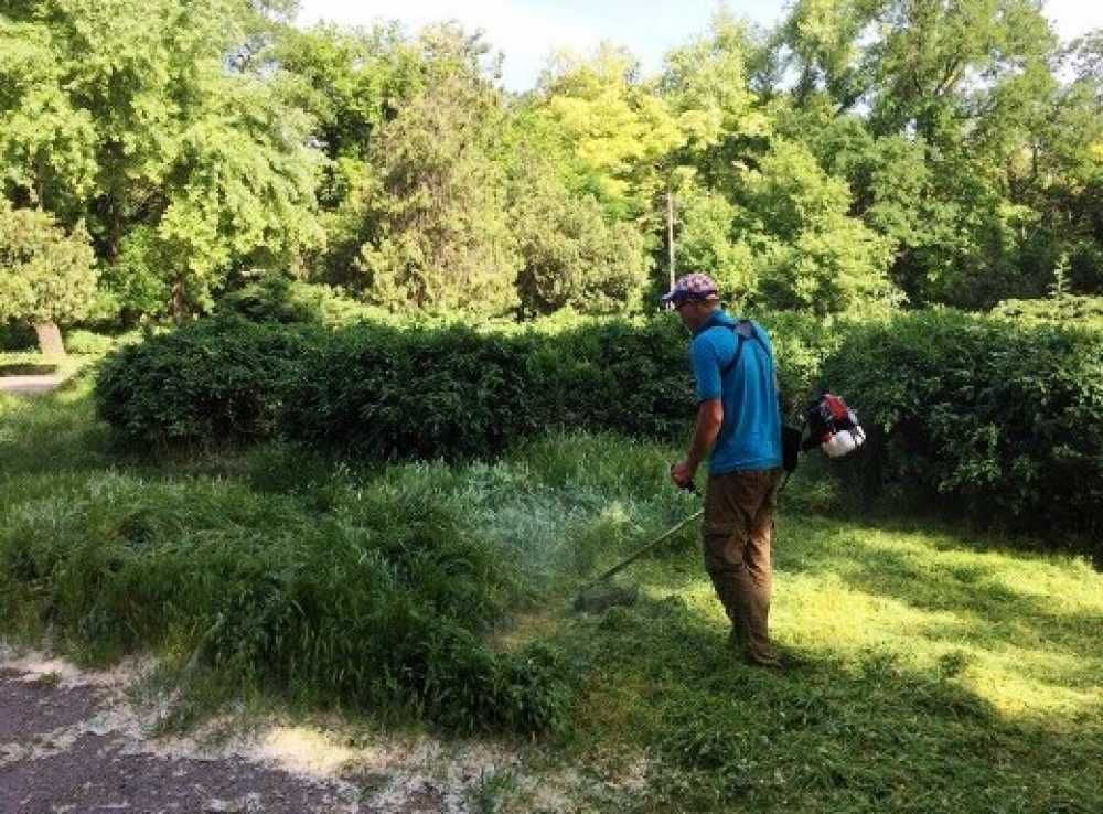 ПОКОС ТРАВИ Косимо траву, рубаємо дрова, зрізаємо дерева. БЛАГОУСТРІЙ