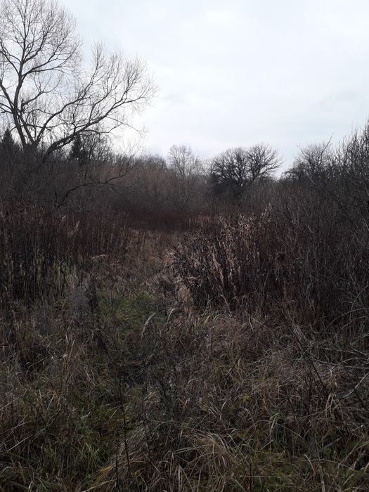 Земельна ділянка