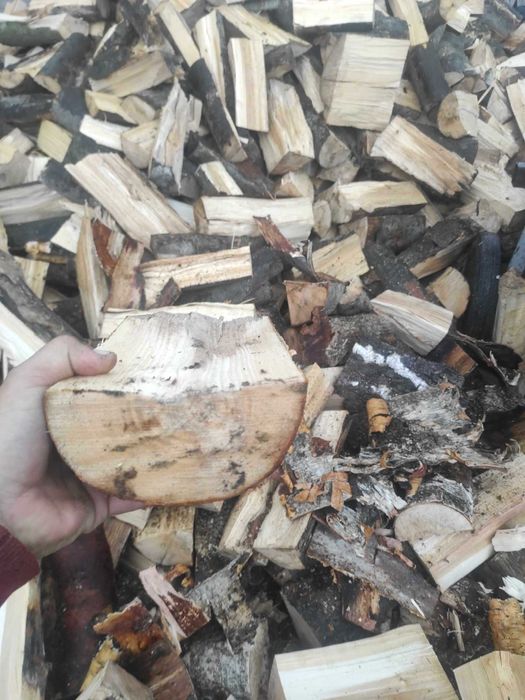 Drewno opałowe i kominkowe z darmowym transportem