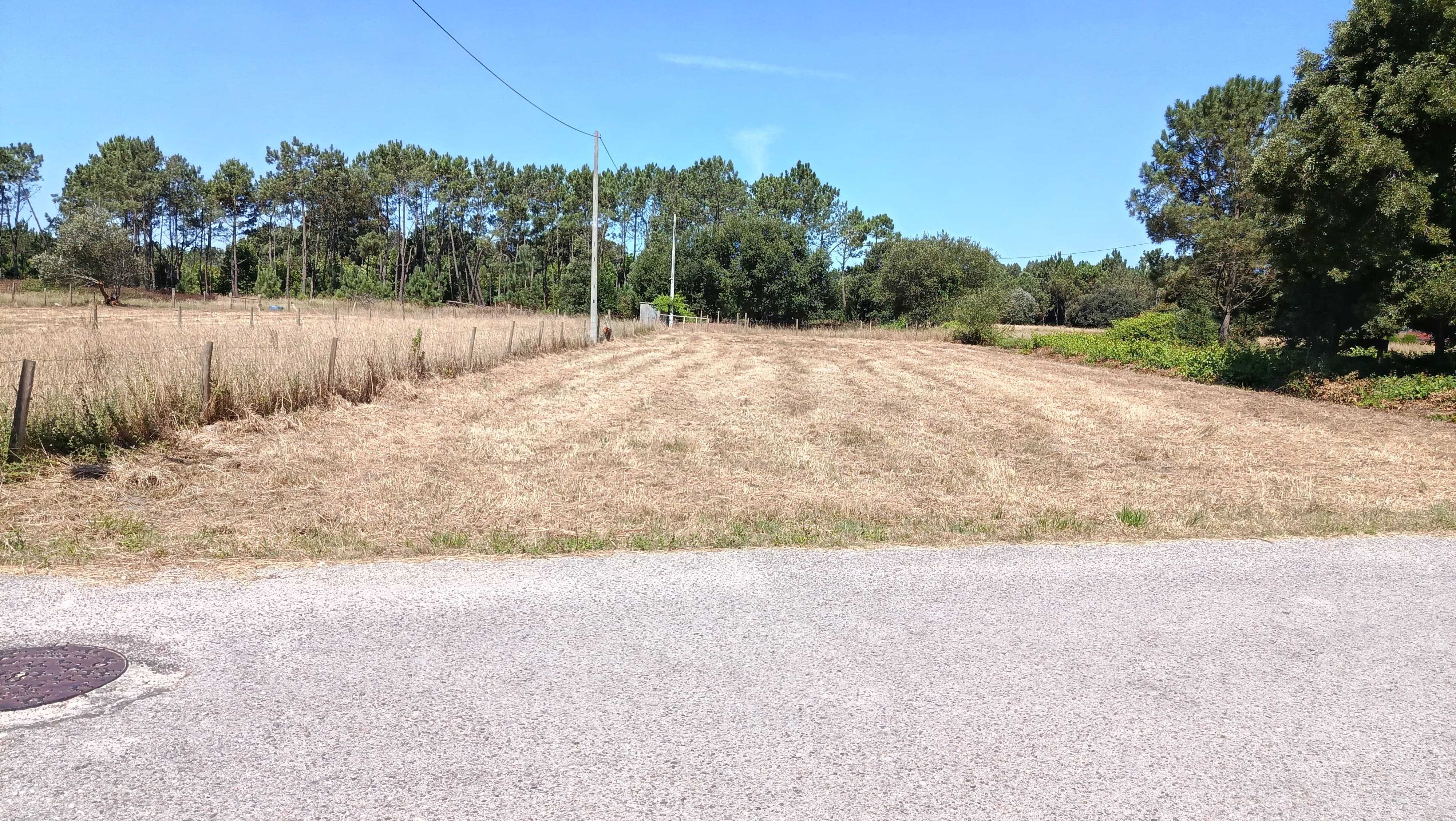 Terreno à venda na Rua Cavadas 1.049m² | Castanheiro - Figueira da Foz