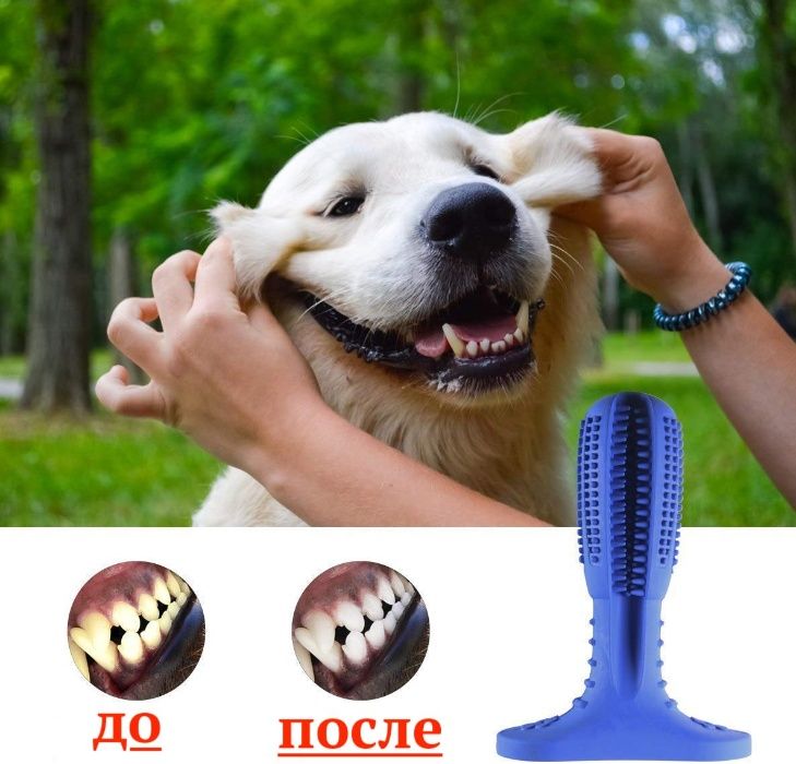 Зубная счетка для собаки. Маленькая. Синяя.