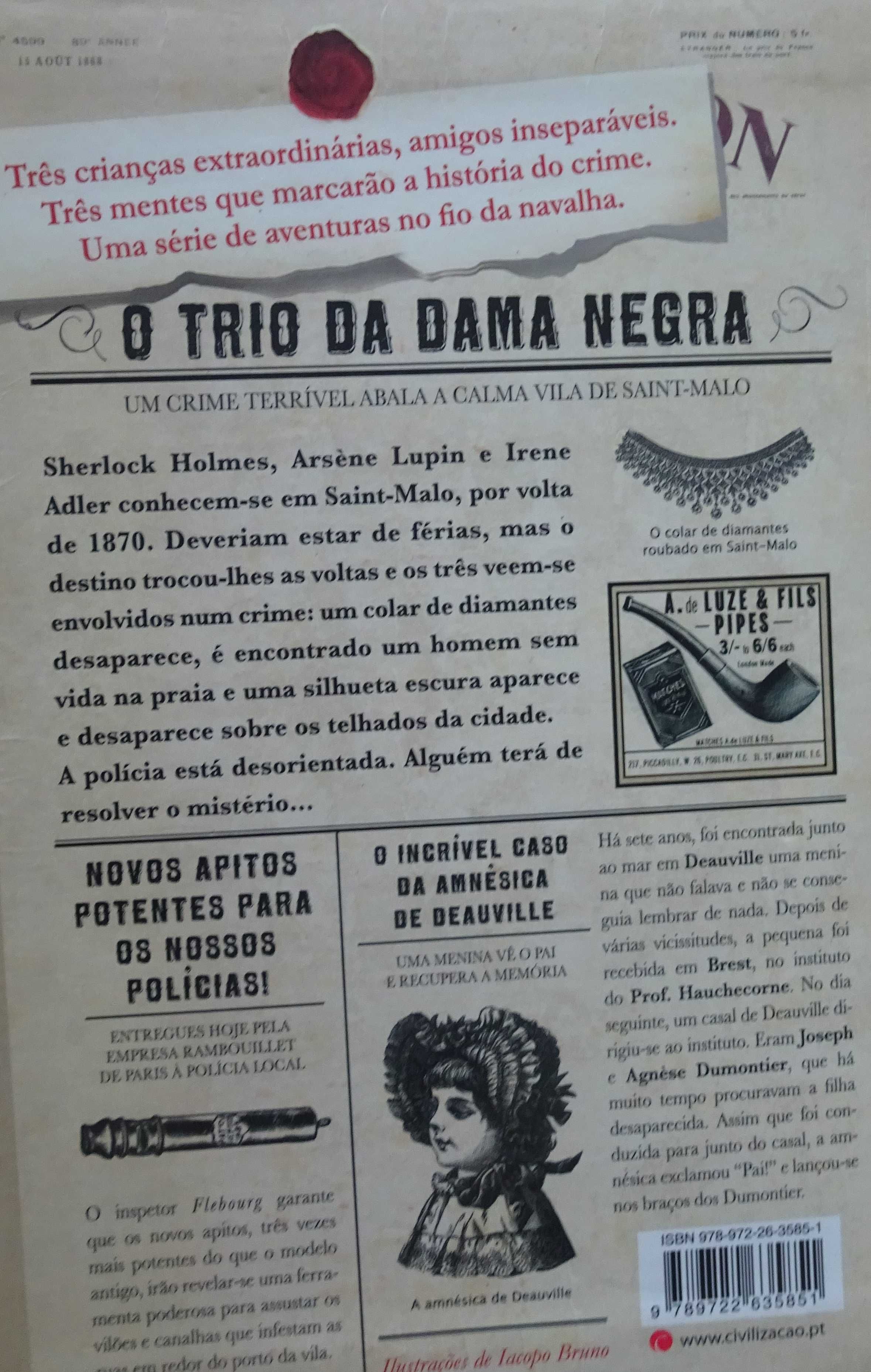 Sherlock Lupin & Eu - O Trio da Dama Negra de Irene Adler