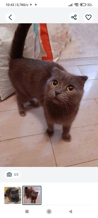 ASUS X552VL Core I3 Nvidia GT 710