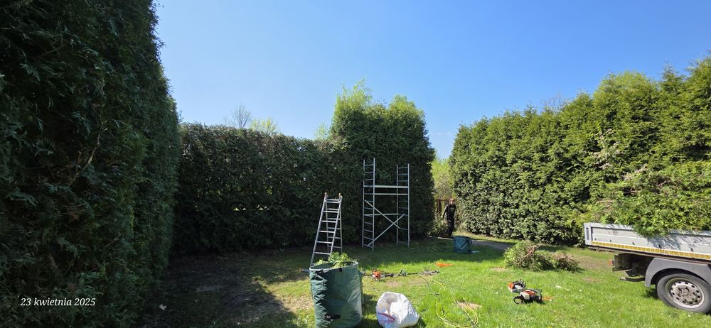 Wycinka drzew, koszenie trawników karczowanie trudno dostępnych miejsc