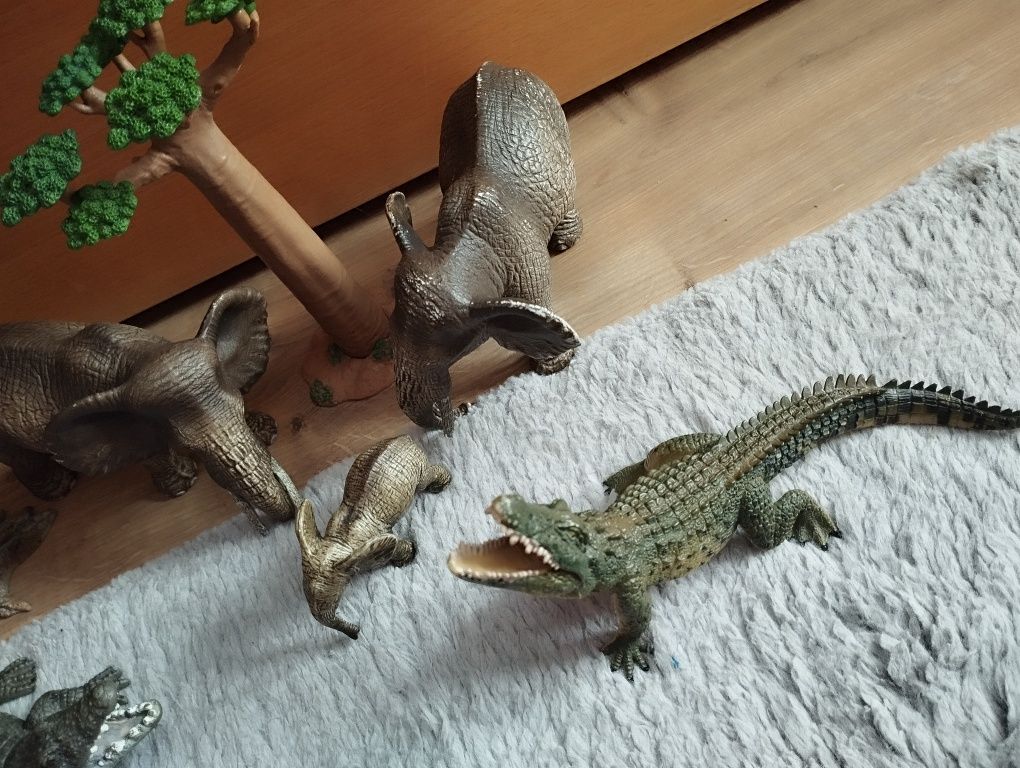 Safari schleich zestaw