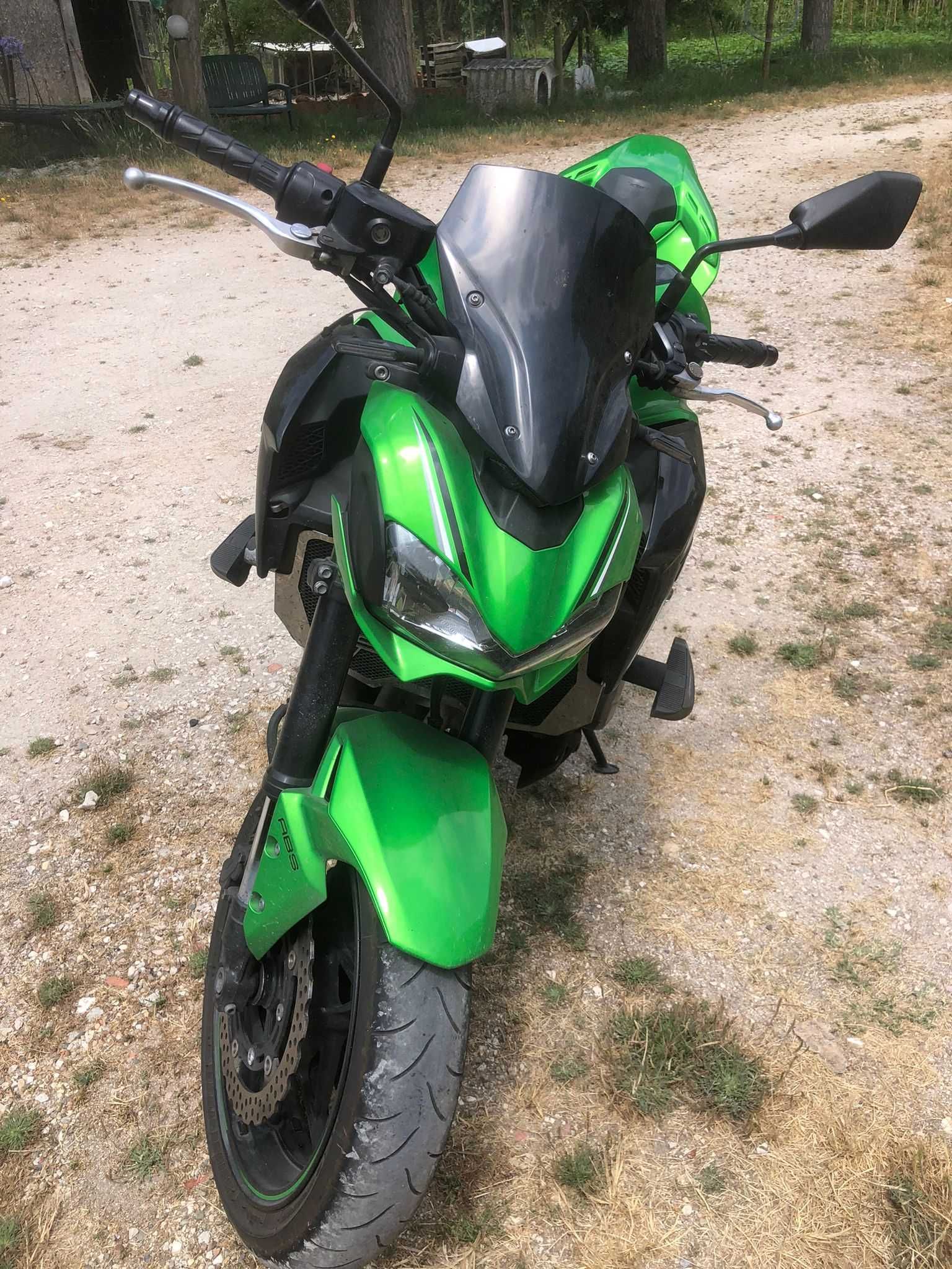 Kawasaki Z900 ABS Performance