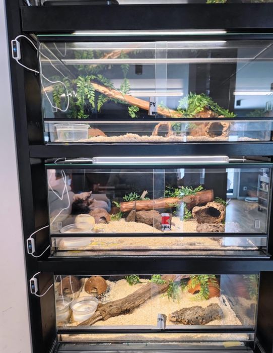Terrarium x3 szklane 80/40/40