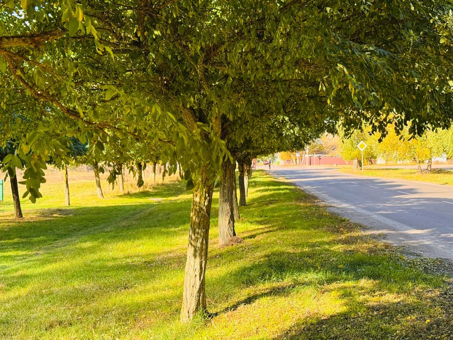 Продається двоповерховий будинок у Дахнівці