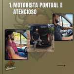 Bisão Fretes e Mudança
