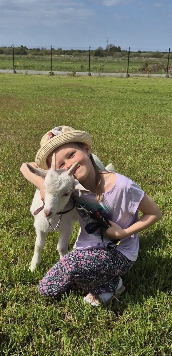 Pokoje gościnne nad morzem - AGROTURYSTYKA blisko Karwi