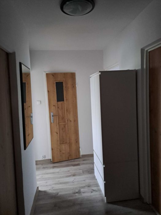 Wynajmę mieszkanie 3 pokoje