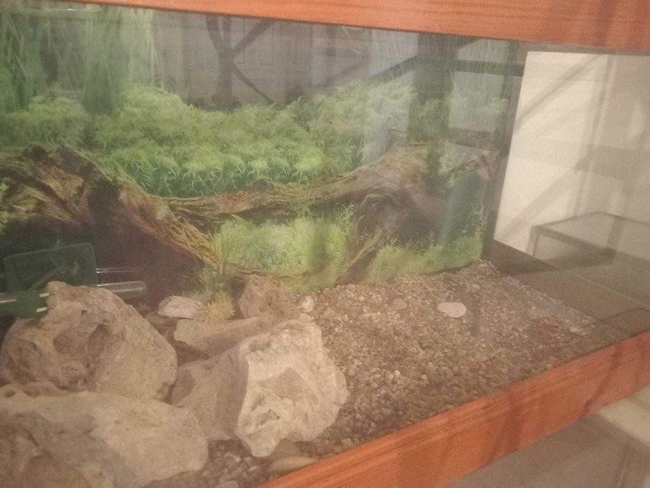 Aquário Grande com Mesa