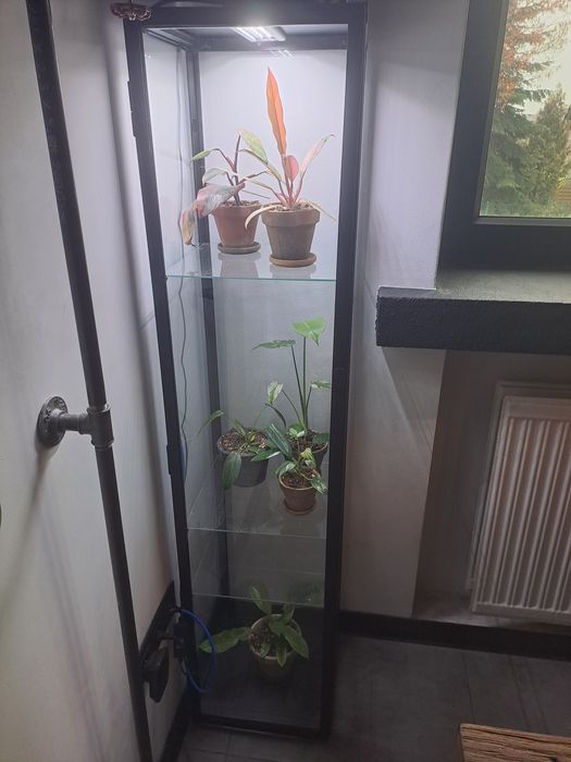 Ikea Witryna Blaliden Philodendron Caramel Marble Monstera Mint