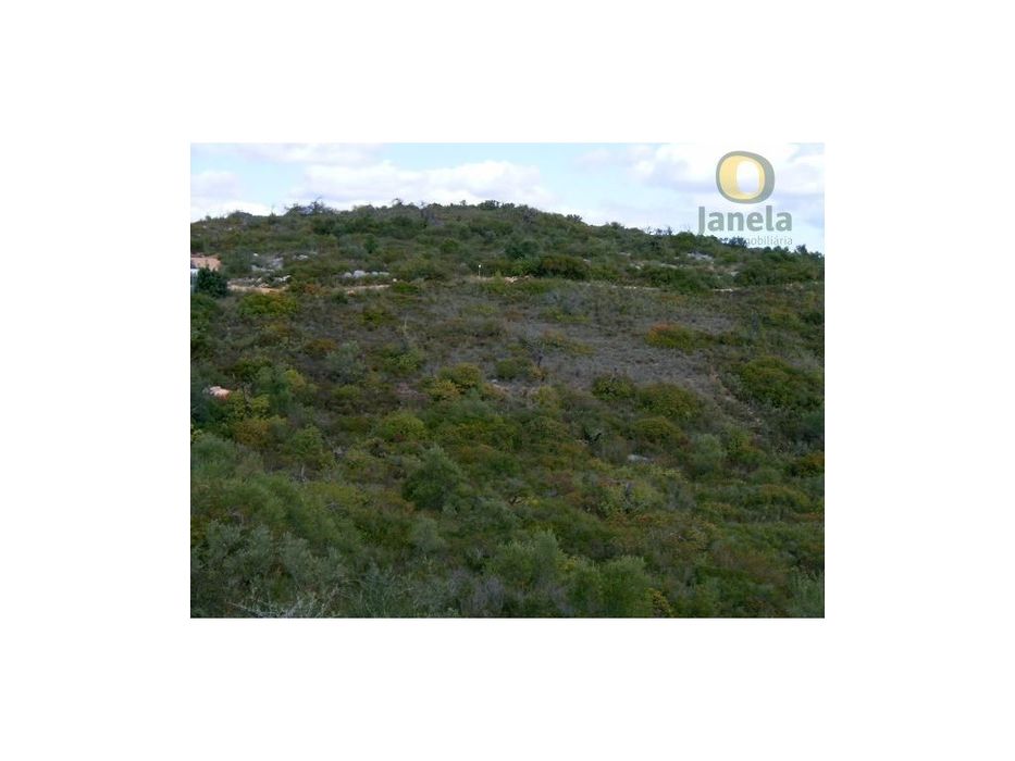 Terreno Rústico com 15680 m2 junto ao Serro de S. Miguel