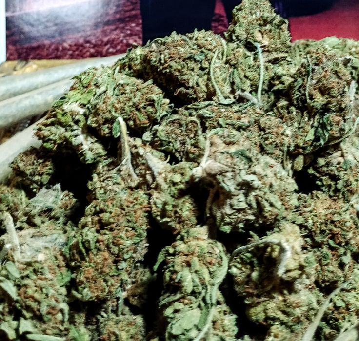 10g ROYAL SKYWALKER Susz Roślinny cbt cbl cbc odlot! Działa! Promocja!