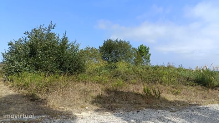 TERRENOS - Válega, Ovar ( desde 4.250,00€ )