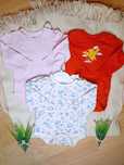 62-68cm, Set x3szt Body Długi Rękaw Liski Pudrowe Dziewczynka Zapinane